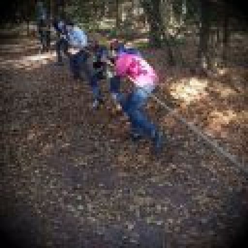 Trek door het bos!